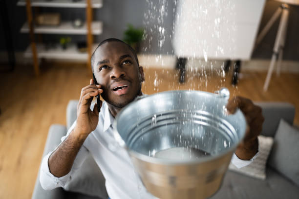 Best Sewage cleanup and water damage restoration  in Baltic, SD