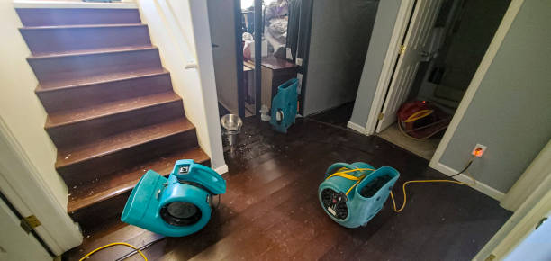 Best Carpet water damage restoration  in Baltic, SD