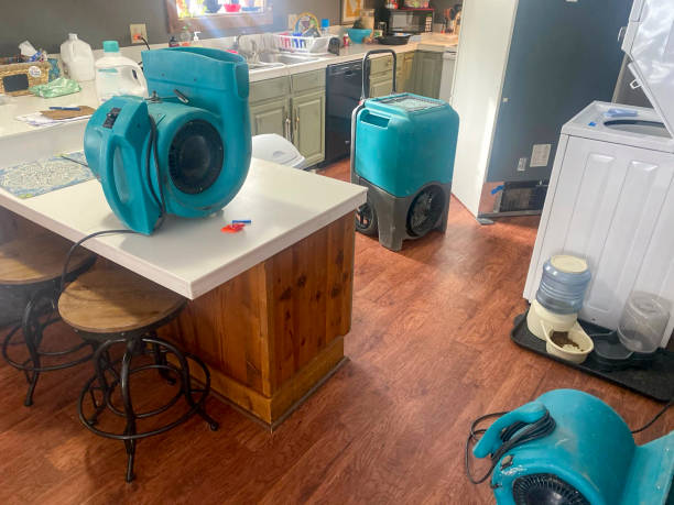 Best Local water damage restoration  in Baltic, SD
