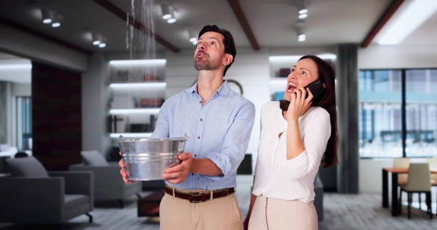 Best Residential water damage restoration  in Baltic, SD