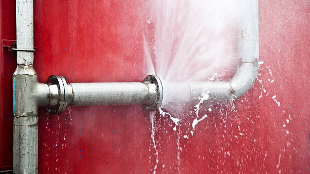 Best Mold removal after water damage  in Baltic, SD